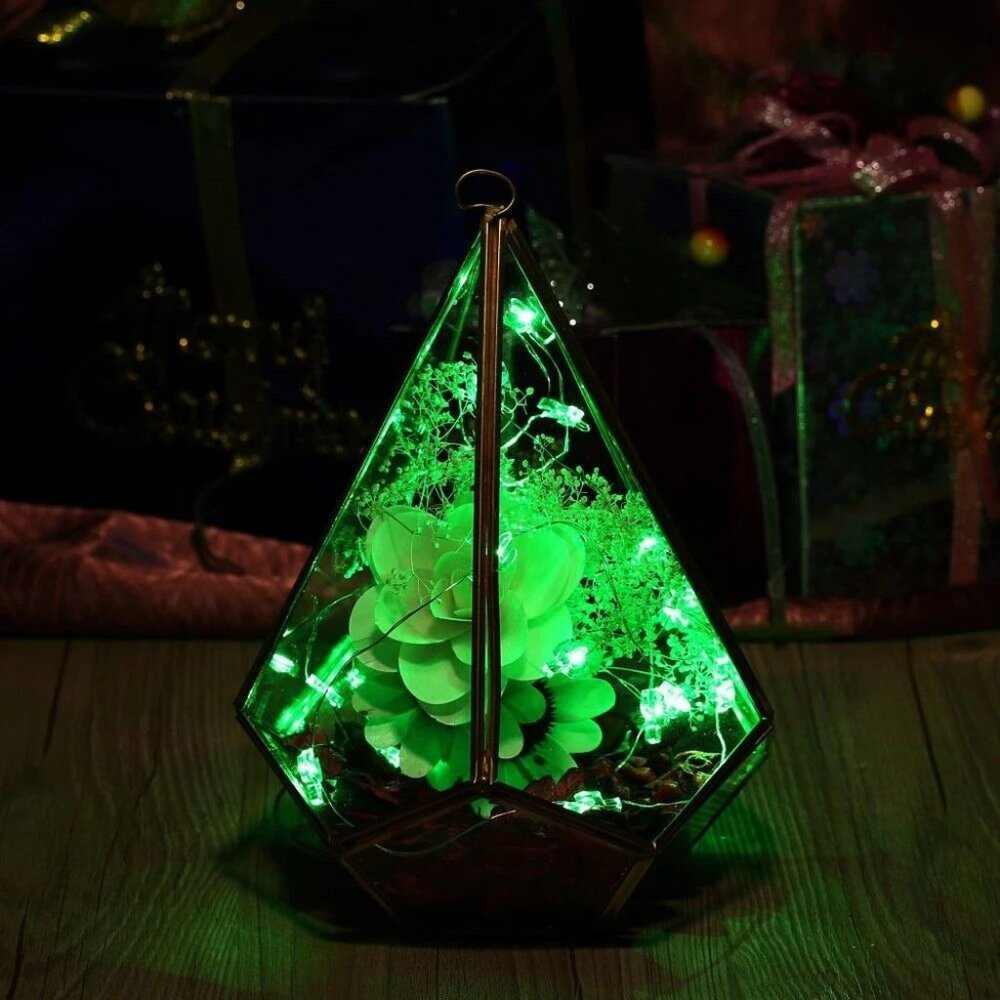 20 LED string Silver Copper Wire Fairy Lights Battery Powered Waterproof 2M USA